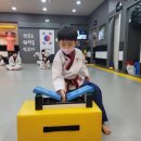 최강웅비태권도 이미지