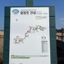 해안사구 | 안면도 | 태안 | 부드러운 모래사장 하이킹코스 "신두리해안사구" 관람후기