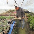 둘리 농장 이미지