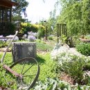 자연의 소리 Ⅱ 이미지