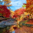 봉학골산림욕장 이미지