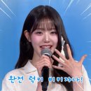 럭키코알라