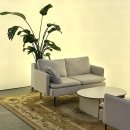 히포레스트(Hipporest) 이미지