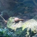 씨에스커피 앤 비어 | 제주도 중문 씨에스호텔 카노푸스카페 강력추천