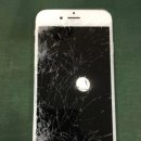 수원-0126 이미지