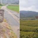(주)보성다원
