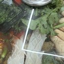 원주 맛집 추천 원주 알탕 맛집 까치둥지 알탕 후기입니다!