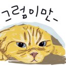 난니꼬양 이미지