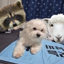 천년메디컬 | 나이에 맞는 행동과 격식