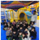 올바른i태권도 이미지