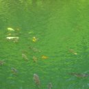 초읍동-27 이미지