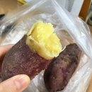 신해남농장 네이버블로그