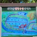 좌구산 오토캠핑장 이미지