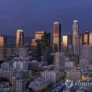 스카이라인주 이미지