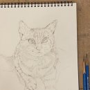 드로잉&수채화(미술) 이미지