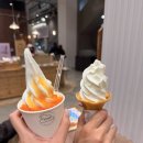 [삿포로여행] 5월 삿포로 4박5일 여행 코스 추천