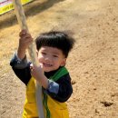 대흥동 유아숲체험원 이미지