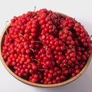 경희이태형한의원 이미지