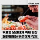 울진대게로 (군도6) | 2026 울진대게와 붉은대게 축제 완전정복 - 일정, 프로그램까지!