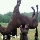 우리조은마트