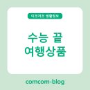 수능생을위한 공연 | 수능 끝! 자유를 만끽하는 힐링 여행상품 추천 ✈️