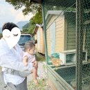 밤비니펜션 이미지