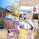 고래등바다장어 | 울산 장생포 모노레일 시간 가격 주차 홍매화 위치