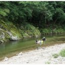 와라캠핑장 이미지