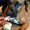 누렁이농장 이미지