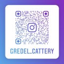 랙돌캐터리 이미지