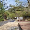 수암 | [충청북도 괴산군] 화양원탑오토캠핑장