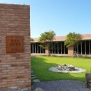 한동리브로콜리 이미지