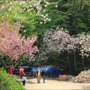 서산고향집 이미지