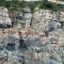 태종대 | 부산여행 영도 태종대 솔직 후기 (feat. 유람선)