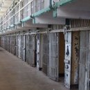 미국 이민 단속으로 체포된 가족이나 지인을 찾는 방법 이미지