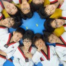 한국체대화랑태권도 이미지