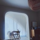 욜로하 스테이 이미지