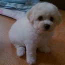안녕하세요 이미지