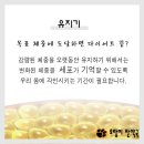 강남호랑이한약국