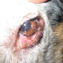 쓰담쓰담 동물병원 이미지