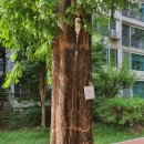 삼경요양병원 이미지