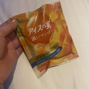 270-3009 | 후쿠오카 일주일 살기 (feat. 후쿠오카 워케이션) - 1편