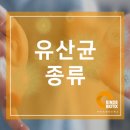 (주)카인즈바이오틱스 이미지