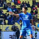 울산대파 이미지