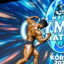 WINGYM(윈짐) 이미지