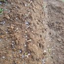 정식농장 이미지