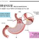 참솔약국 이미지