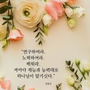 옥토밭