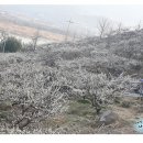 지리산나들이농원 이미지