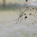 낙동강체육공원 인라인스케이트장+게이트볼장 이미지